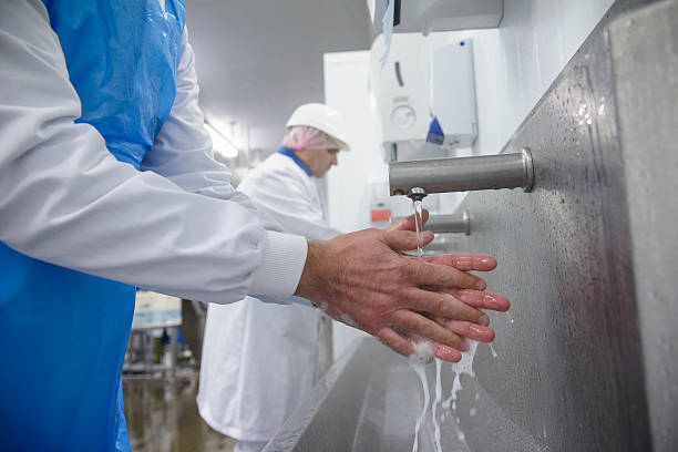 Food processing plumbing and sanitation